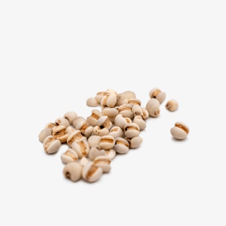 薏米粮食谷物实物拍摄