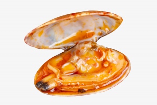 夏季麻辣花蚬子美食元素