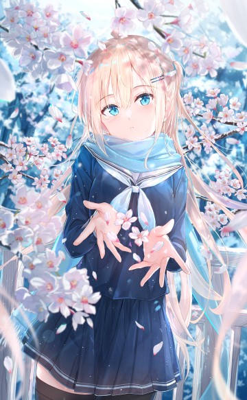 手机壁纸