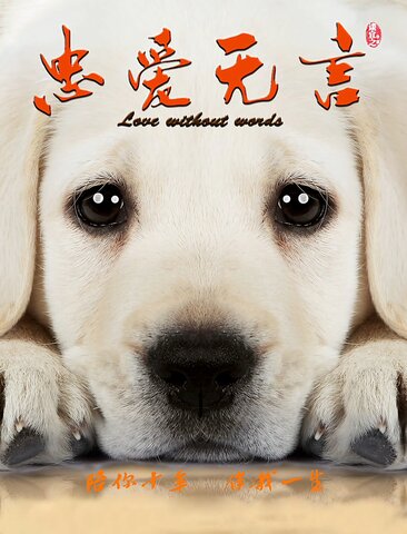 忠爱无言
