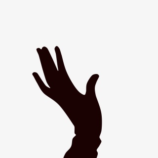 手