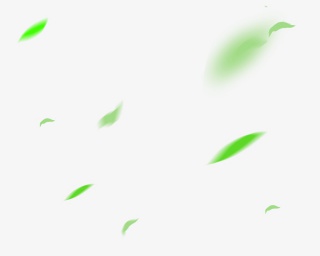 绿色飘落叶子