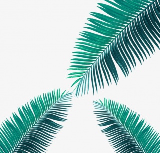 手绘绿色叶子