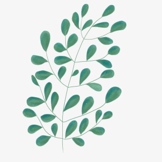 绿色植物手绘叶子素材