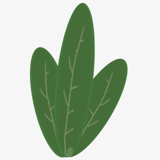 创意绿色植物叶子免抠图