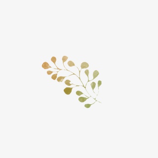 渐变色卡通手绘叶子PNG免扣素材