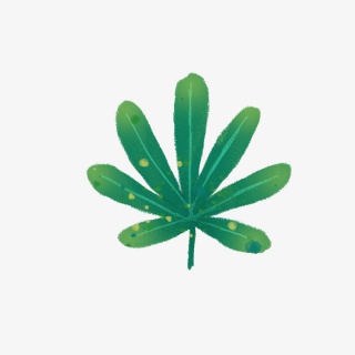 植树节绿色时尚健康