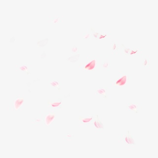漂浮的粉色花瓣