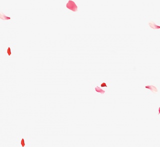 红色散落桃花花瓣