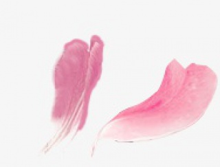 粉红色桃花花瓣