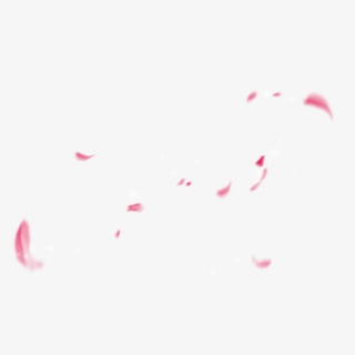 花瓣飞舞