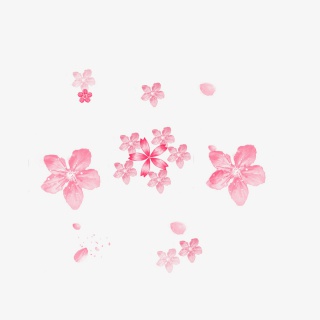 樱花花朵花瓣元素