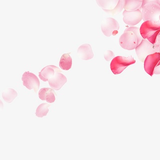 透明花瓣素材