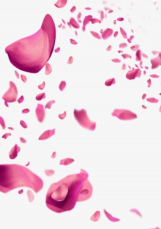 花瓣