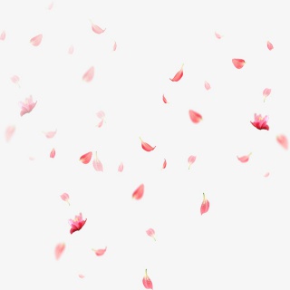 红色花瓣漂浮
