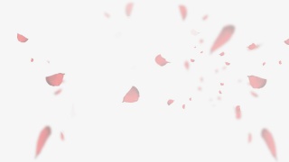 玫瑰花瓣