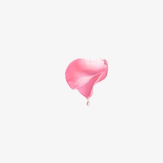 花朵花瓣素材下载