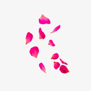漂浮的花瓣