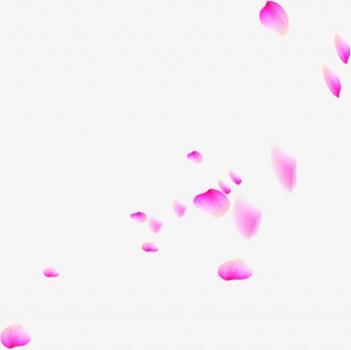 紫色漂浮花瓣