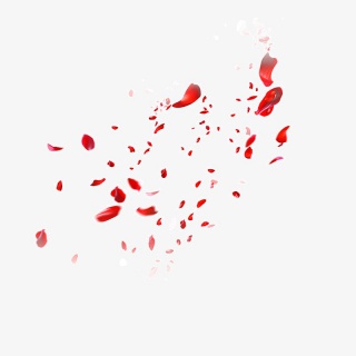 漂浮花瓣