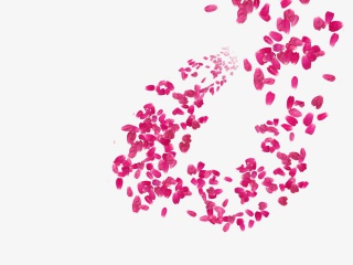 玫瑰花瓣
