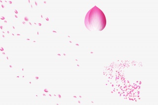 粉色漂浮花瓣