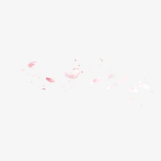 手绘精美桃花瓣