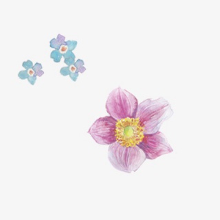 手绘鲜花花瓣花朵元素
