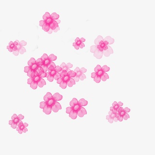 樱花花朵花瓣元素