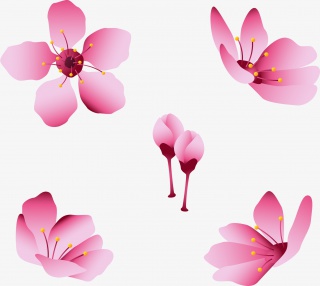 樱花花瓣