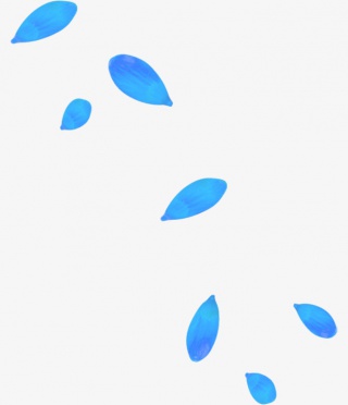 蓝色清新花瓣