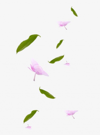 花瓣叶子