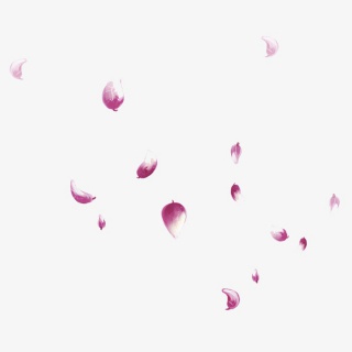 花瓣