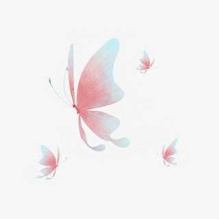 蝴蝶