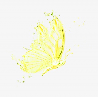 金色蝴蝶水花效果