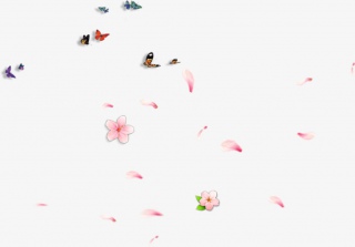 漂浮蝴蝶桃花瓣