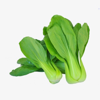 新鲜蔬菜油菜实物摄影