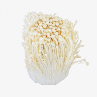 有机蔬菜金针菇实物摄影