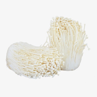 有机蔬菜金针菇实物摄影