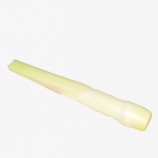 竹笋蔬菜免抠实物png素材