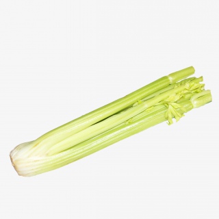 芹菜蔬菜免抠实物png素材