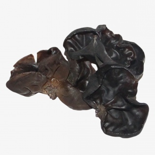 木耳蔬菜免抠实物png素材