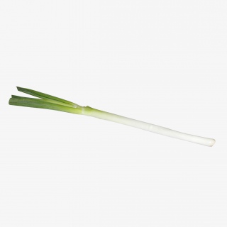 大葱蔬菜免抠png素材