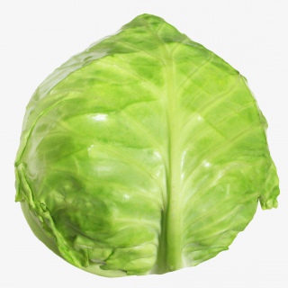 包菜蔬菜实物png素材