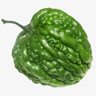 苦瓜蔬菜实物png素材