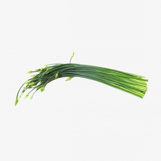 韭菜蔬菜实物免抠png素材