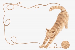 橘猫边框