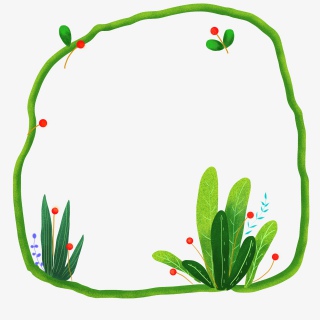 夏季清新绿色植物花朵果实边框