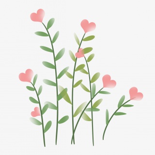 爱心植物花束母亲节装饰