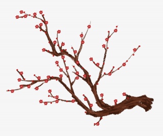 手绘梅花和枝干PNG免抠图